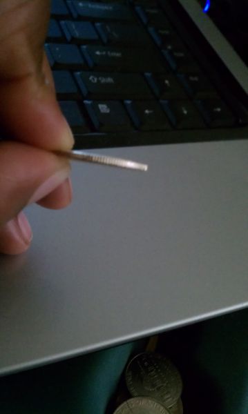 Please-Help-Identify..