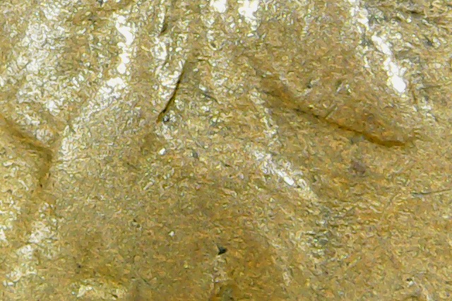 1864-L-RPD-Snow-10-IHC-With-180-Degree-Rotated-Die-Cherrypicked-For-$8.00