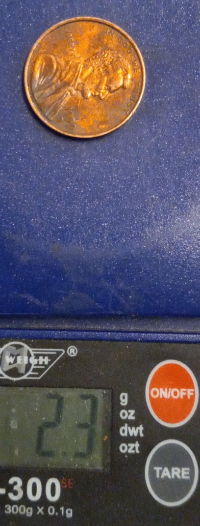 1999-D-Penny-Found-In-Pocket-Change-That's-Weighs-2.3-Gram?