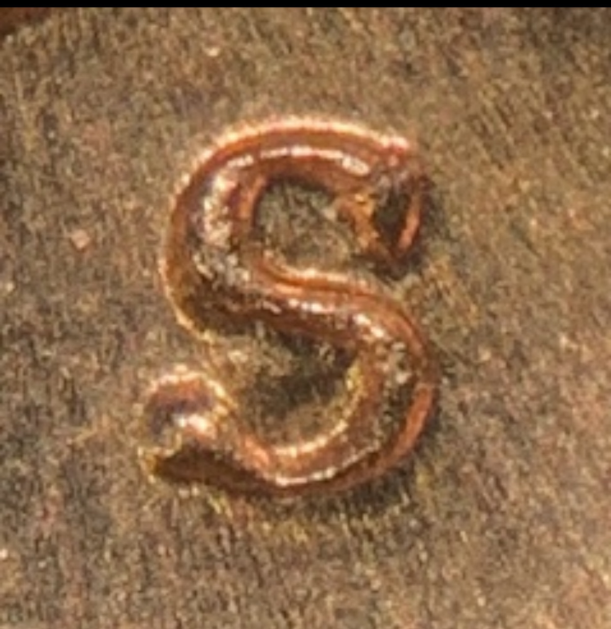 1968-S-Lincoln-Memorial-Cent.-RPM?