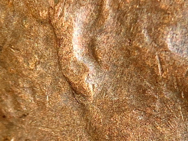 1981-D-LMC-Ugly-Coin-Check-Out-The-Ear