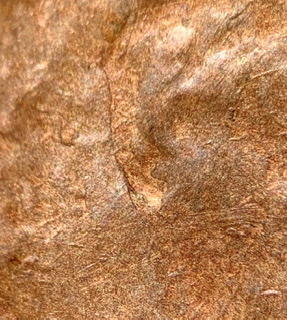 1981-D-LMC-Ugly-Coin-Check-Out-The-Ear