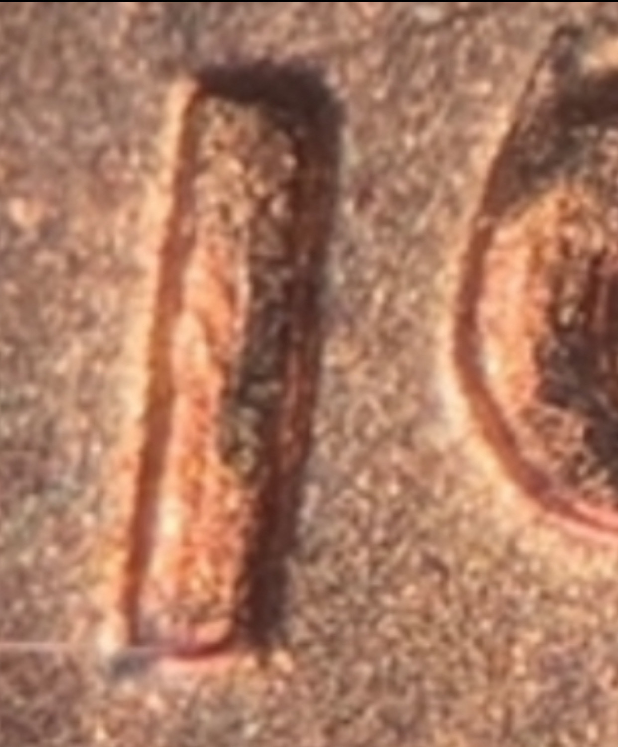 1960-D-Lg.-Date-LMC-DDO