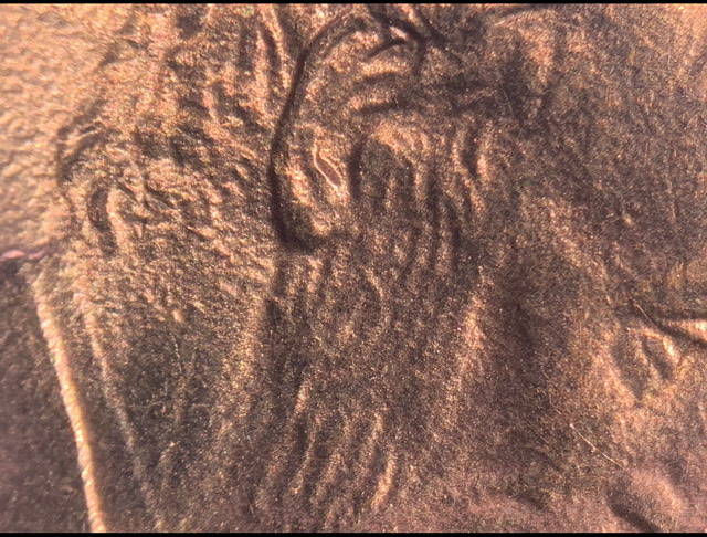 2000-D-Lincoln-Memorial-Cent.-Imagination-Working?