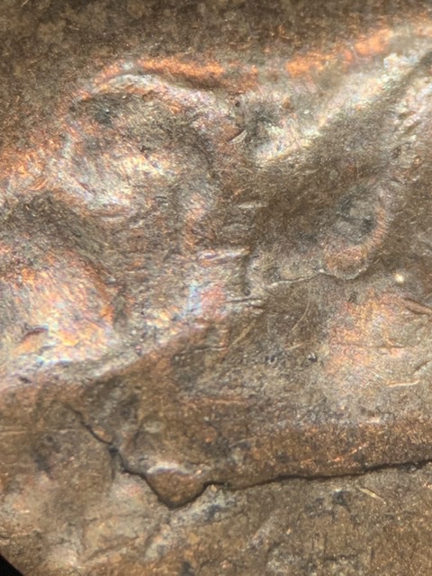 1955-LWC.-Cracked-Skull.