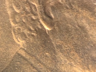 1984-D-Lincoln-Memorial-Cent-UFO-Ear