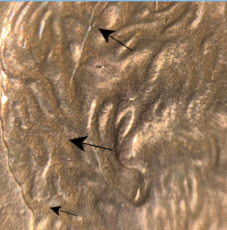 2006-D-LMC-Spike-Head-With-R.-I.-D.-B.