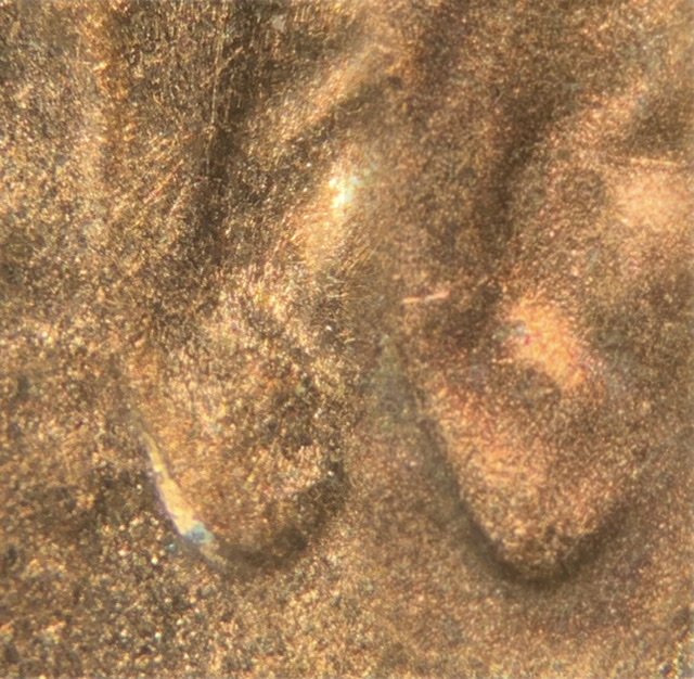 2019-D-Lincoln-Shield-Cent-Ear-?