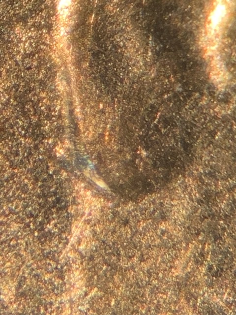2019-D-Lincoln-Shield-Cent-Ear-?
