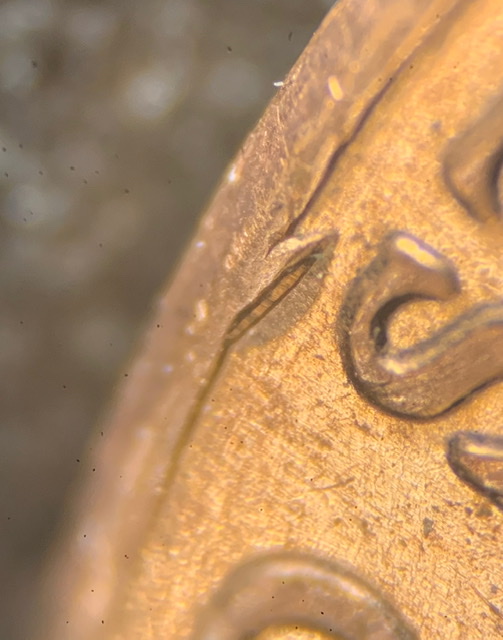 2019-Lincoln-Shield-Cent.-Ufo-Reverse