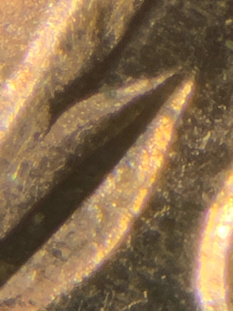 2019-Lincoln-Shield-Cent.-Ufo-Reverse