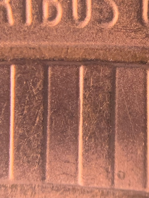 2019-Lincoln-Shield-Cent-DDR
