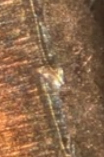 2000-D-LMC.-Rim-Problem