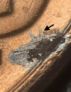 2020-D-Lincoln-Shield.-Planchet-Problem?