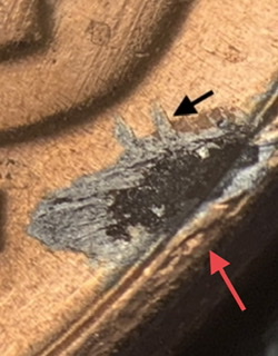 2020-D-Lincoln-Shield.-Planchet-Problem?