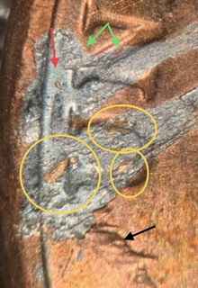 2020-D-Lincoln-Shield.-Planchet-Problem?