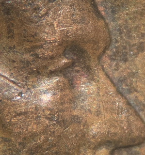 1959-D-LMC-Extra-Eyelid?