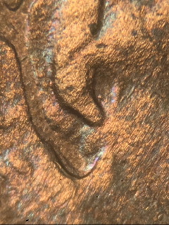 1982-Sm-Z-LMC.-Ear