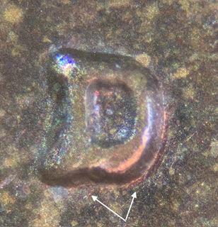 1959-D-LMC-RPM-+-DDO?
