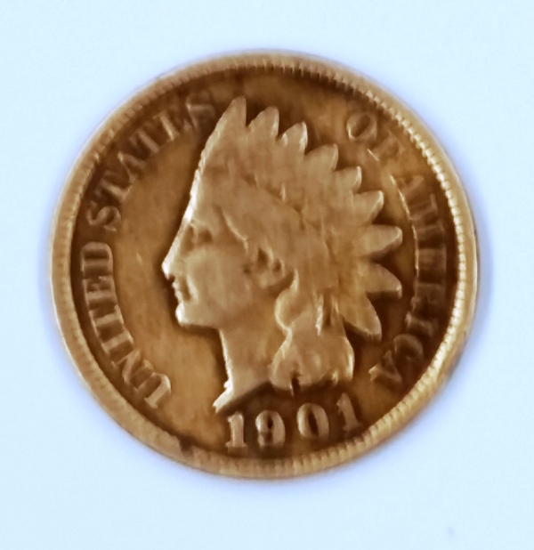 1901-Indian-Head---What-Grade-Would-You-Give-This?