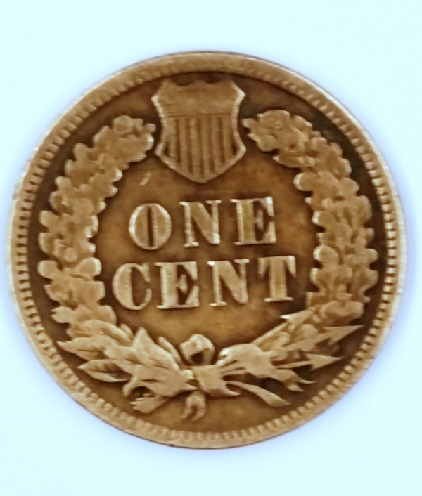 1901-Indian-Head---What-Grade-Would-You-Give-This?