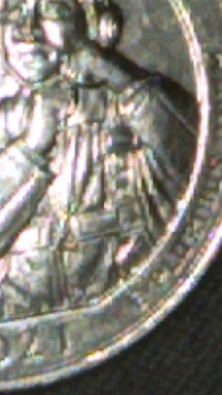 Question-About-Tuskagee-Airmen-Quarters