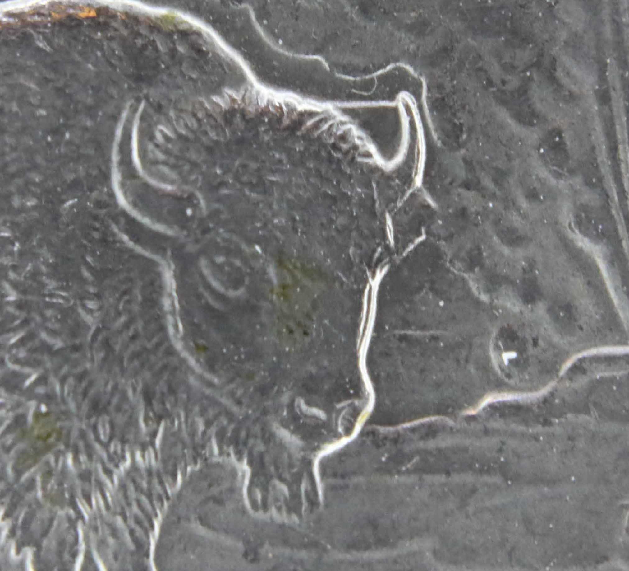 2010-Yellowstone-Quarter-Error