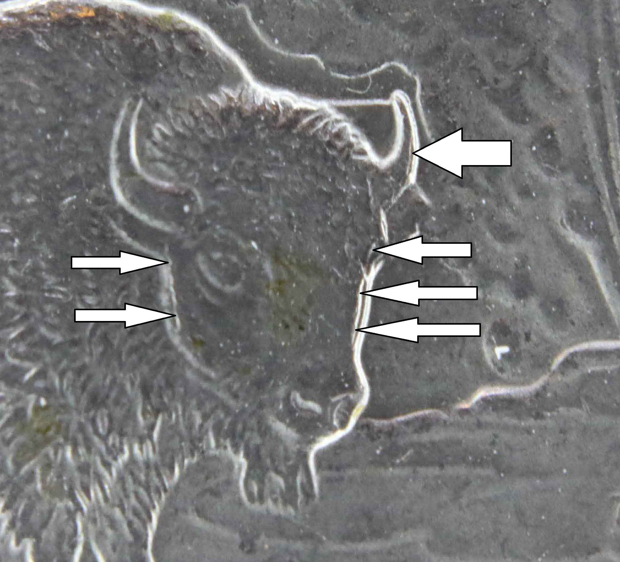 2010-Yellowstone-Quarter-Error