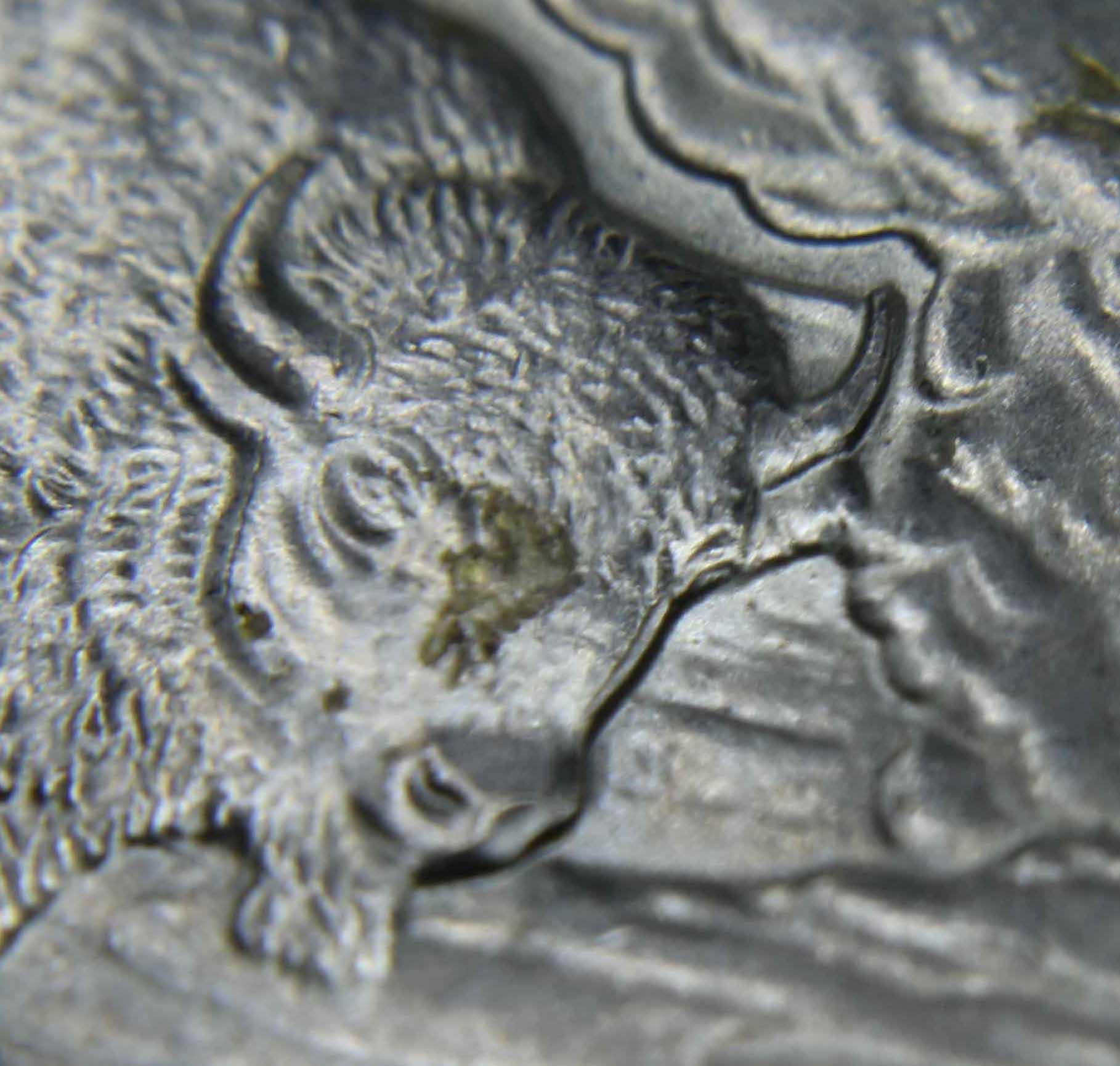 2010-Yellowstone-Quarter-Error