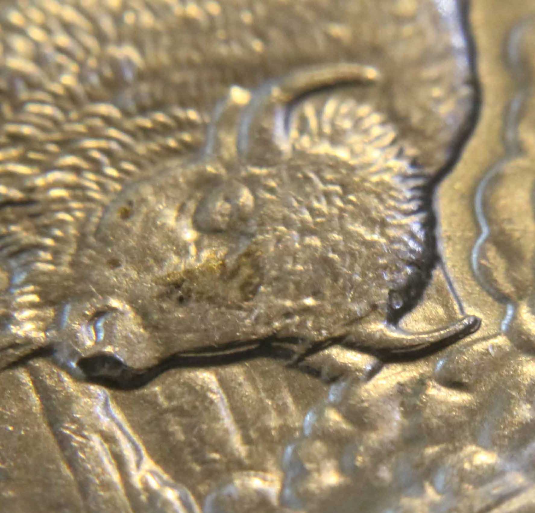 2010-Yellowstone-Quarter-Error