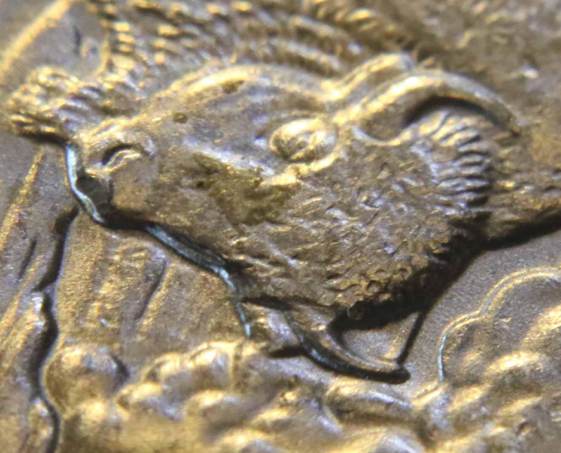 2010-Yellowstone-Quarter-Error