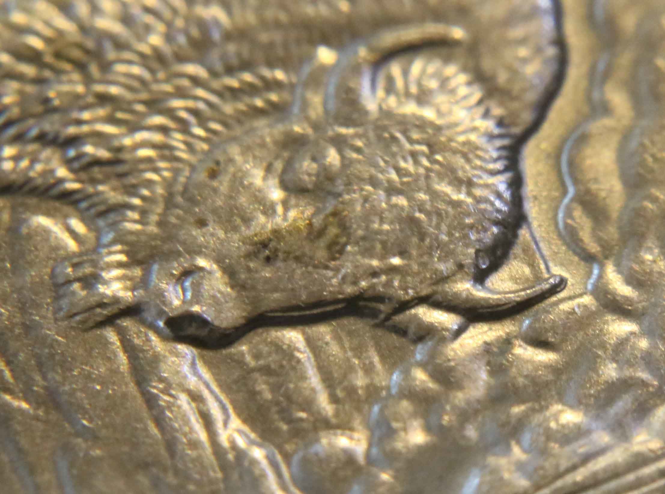2010-Yellowstone-Quarter-Error