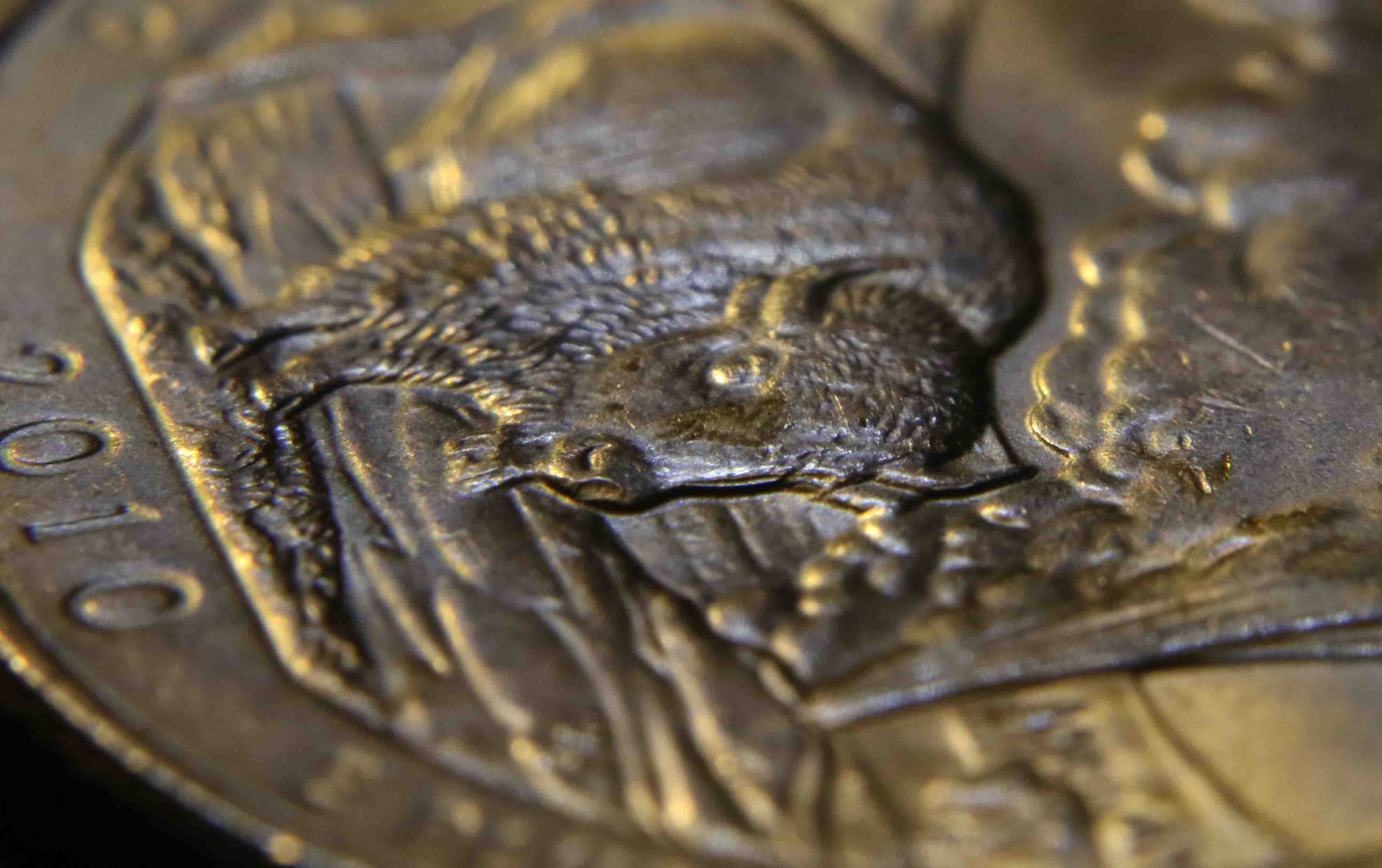 2010-Yellowstone-Quarter-Error