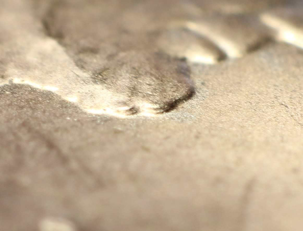 2016-D-Cent-With-Doubling-On-Lincolns-Chin