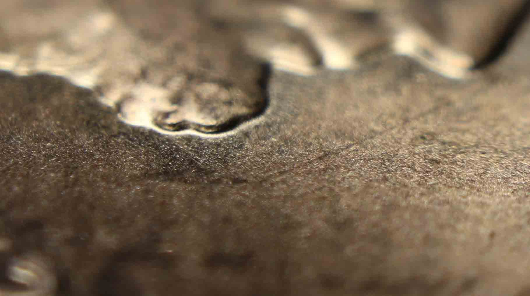 2016-D-Cent-With-Doubling-On-Lincolns-Chin