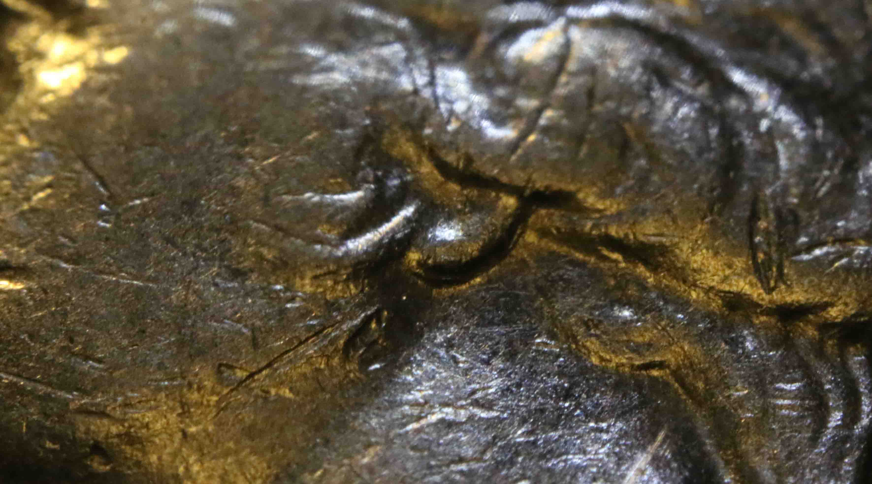 Washington-Quarter-Error-Doubled-Ear-Lobe-New-Error?