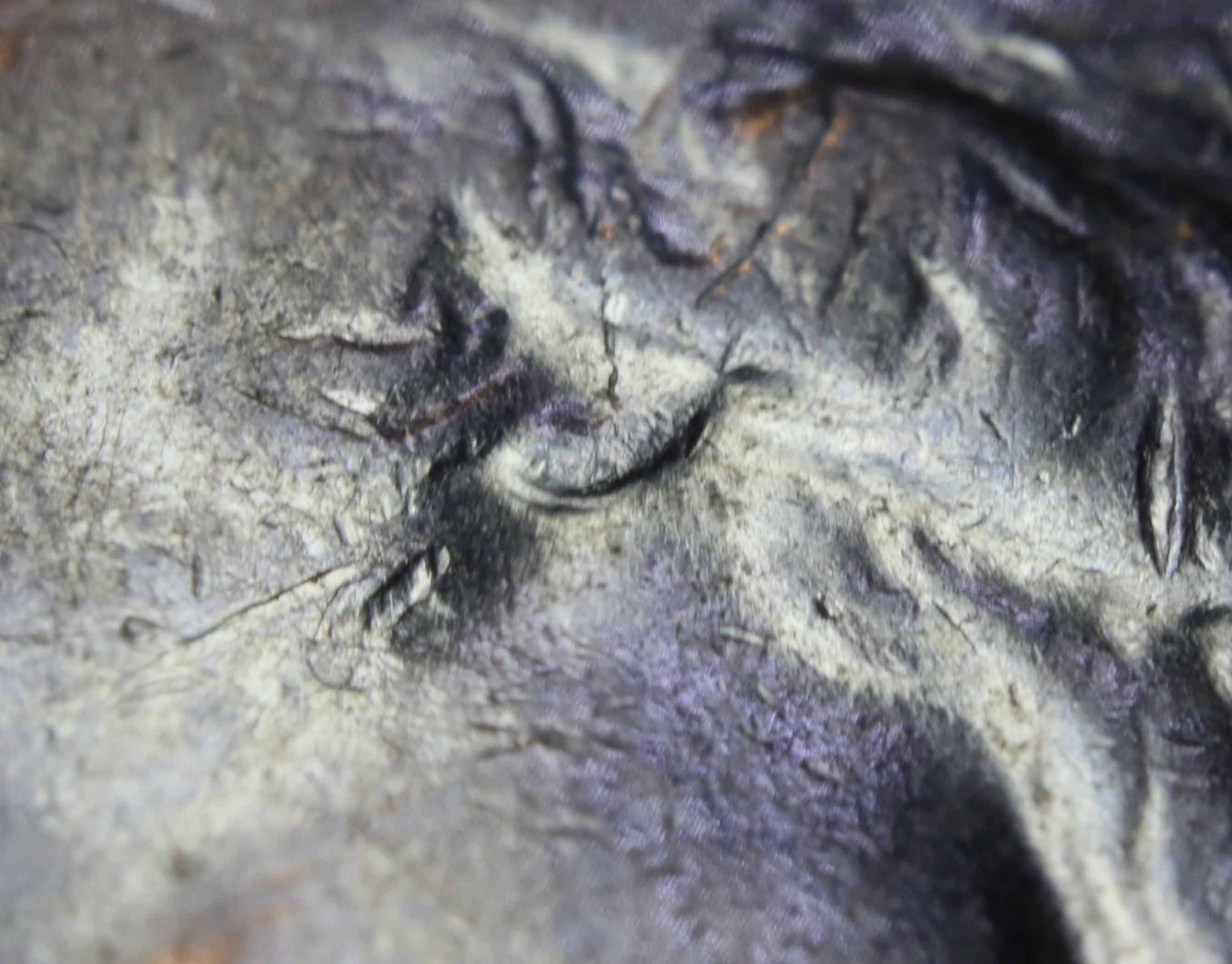 Washington-Quarter-Error-Doubled-Ear-Lobe-New-Error?