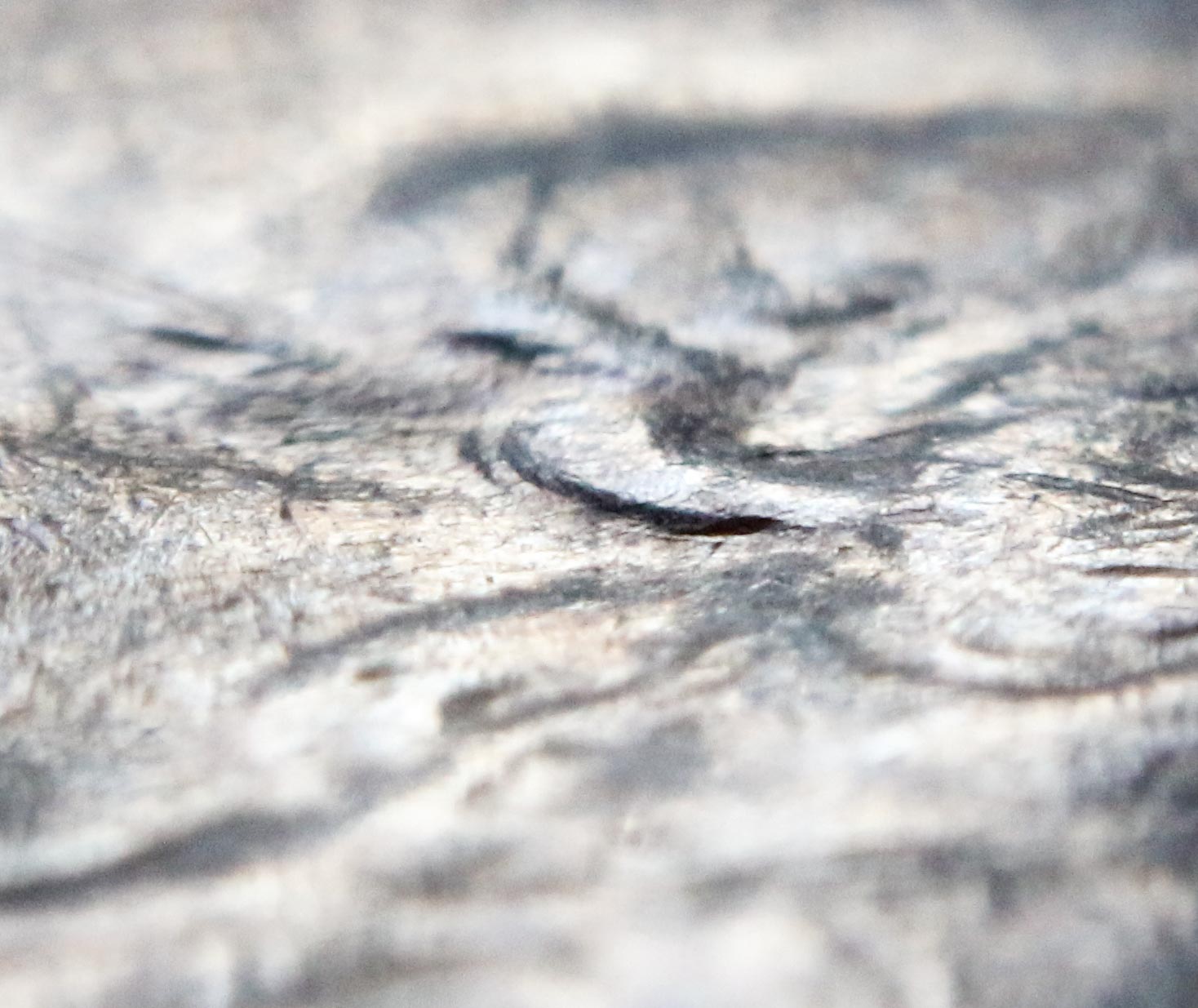 Washington-Quarter-Error-Doubled-Ear-Lobe-New-Error?