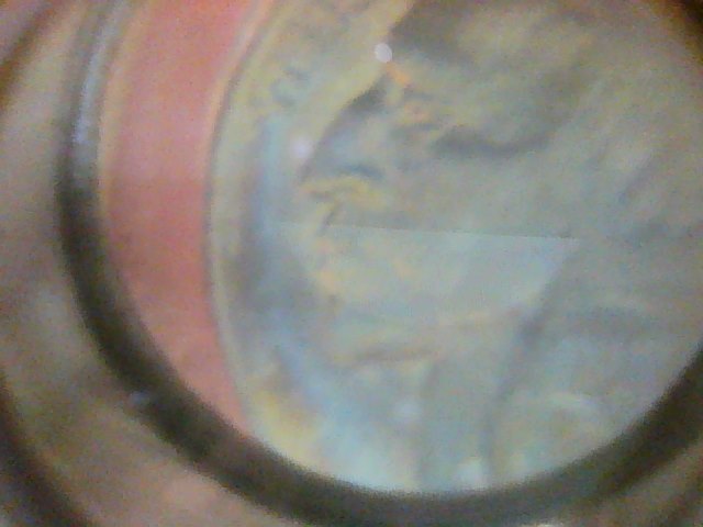 1937-Buffalo-Nickel-Proof?
