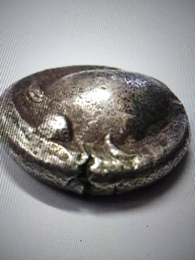Fake-Aegean-Turtle-Coin?