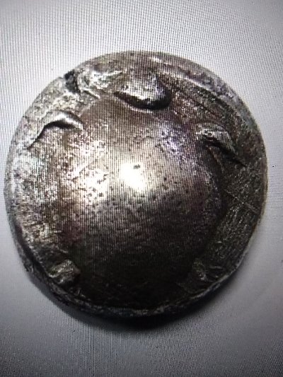 Fake-Aegean-Turtle-Coin?