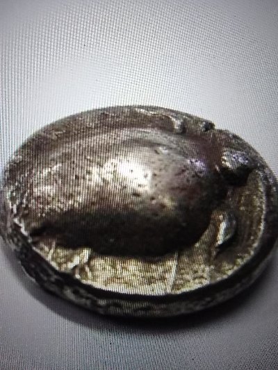Fake-Aegean-Turtle-Coin?