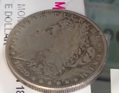 Fake-Morgans?-I-Think-So-.