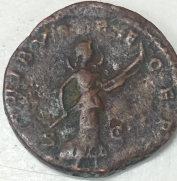 Some-Ancients-I-Saw-At-A-Shop-Today.