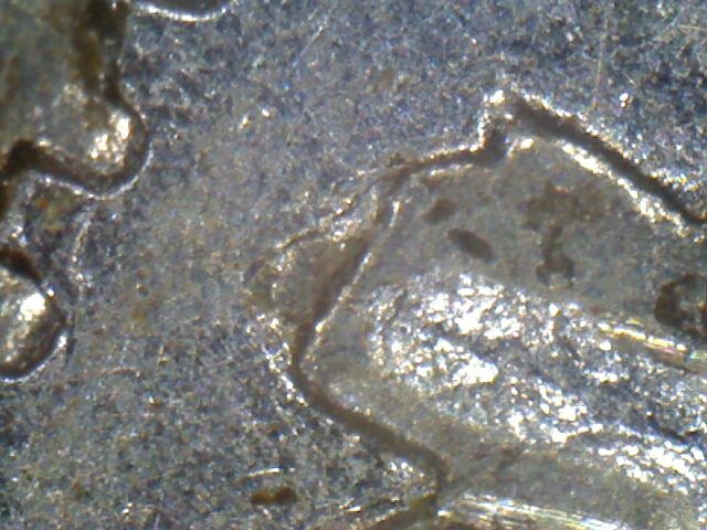 1953-Nickel-NSF-/-Missing-A-Point-From-Leaf