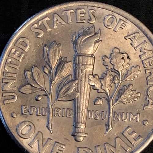2004-P-Dime...-Reverse-Die-Blots,-Extra-Leaf?