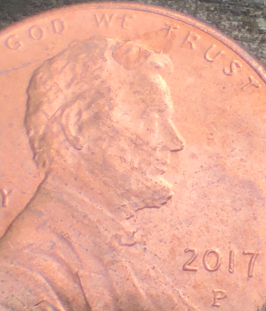 2017-P-LSC-Some-Type-Of-Doubled-Die-Obverse