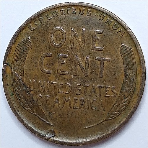 1909-Lincoln-Wheat-Penny-Help-Needed-Re:-Mint-Error-On-Reverse?