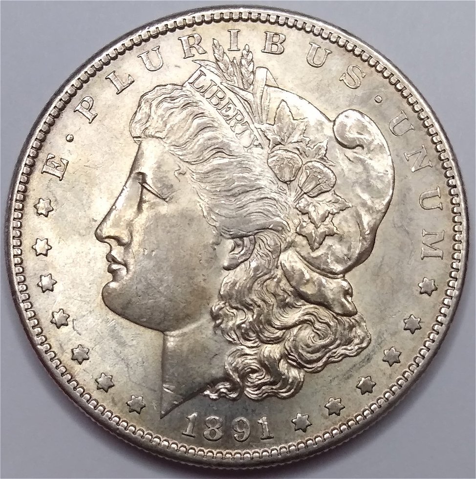 1891-S-Morgan-Silver-Dollar---VAM-Help-Needed-?