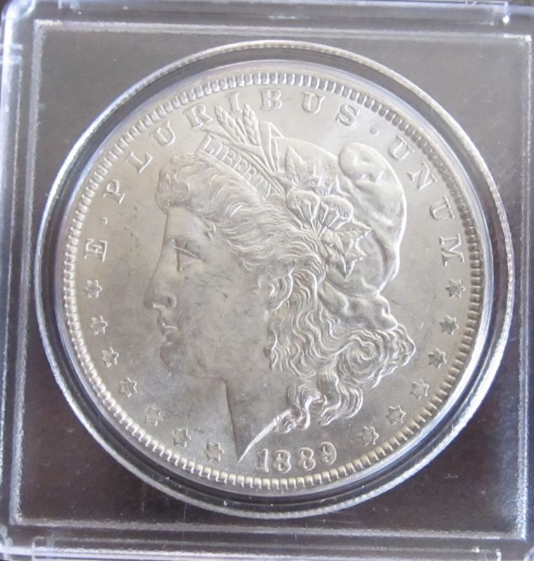 1889-Morgan-Dollar-Please-Try-And-Grade